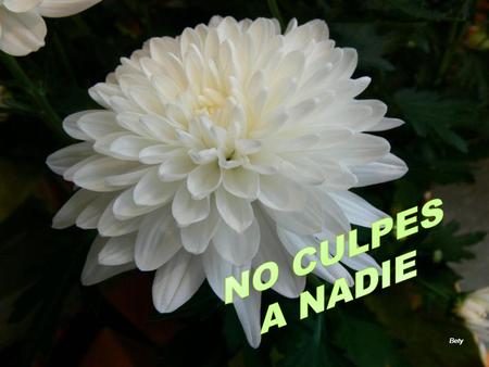 Bety Nunca te quejes de nadie, ni de nada, porque fundamentalmente tu has hecho lo que querías en tu vida. Acepta la dificultad de edificarte a ti mismo.