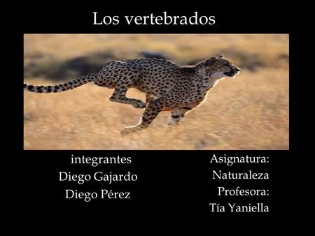 integrantes Diego Gajardo Diego Pérez Asignatura: Naturaleza Profesora: Tía Yaniella Los vertebrados.