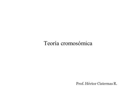 Prof. Héctor Cisternas R.
