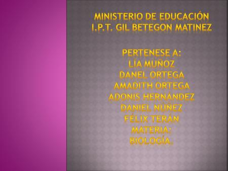 Ministerio De Educación I. P. T