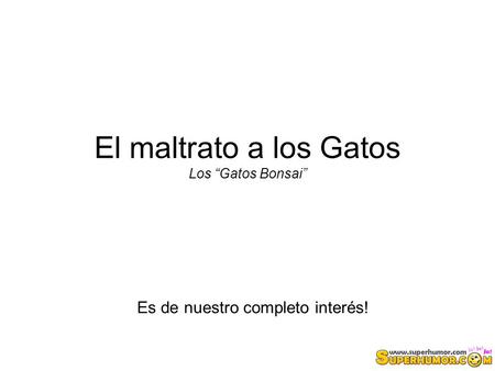 El maltrato a los Gatos Los “Gatos Bonsai” Es de nuestro completo interés!