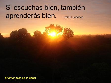 El amanecer en la selva Si escuchas bien, también aprenderás bien. – refrán quechua.