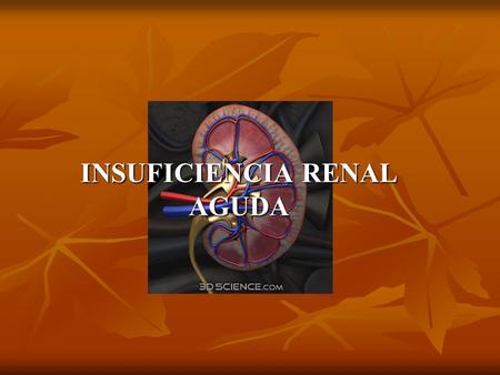 INSUFICIENCIA RENAL AGUDA