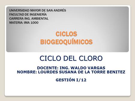 CICLOS BIOGEOQUÍMICOS