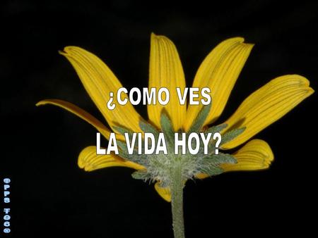 Se cuenta la historia de gemelos idénticos: uno lleno de optimismo que a menudo solía decir: ¡Todo está saliendo color de rosas! y el otro, un pesimista.