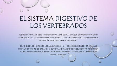 EL SISTEMA DIGESTIVO DE LOS VERTEBRADOS