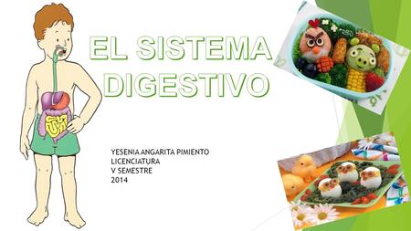 EL SISTEMA DIGESTIVO YESENIA ANGARITA PIMIENTO LICENCIATURA V SEMESTRE