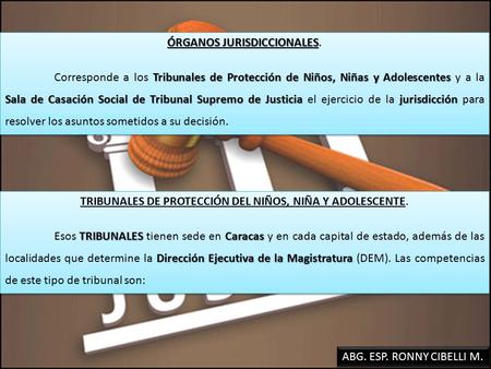 ABG. ESP. RONNY CIBELLI M. ÓRGANOS JURISDICCIONALES ÓRGANOS JURISDICCIONALES. Tribunales de Protección de Niños, Niñas y Adolescentes Sala de Casación.