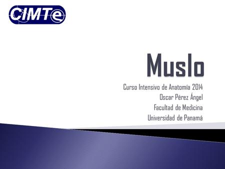 Muslo Curso Intensivo de Anatomía 2014 Oscar Pérez Ángel