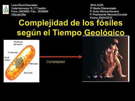 Complejidad de los fósiles según el Tiempo Geológico