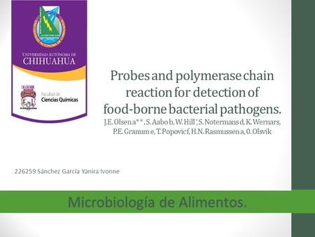 Probes and polymerase chain reaction for detection of food-borne bacterial pathogens. J.E. Olsen a* *, S. Aabo b, W. Hill ‘, S. Notermans d, K. Wernars,