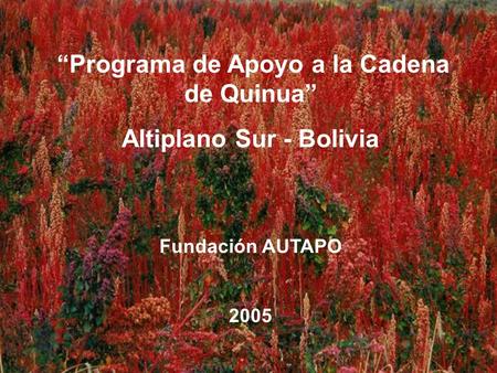 “Programa de Apoyo a la Cadena de Quinua” Altiplano Sur - Bolivia Fundación AUTAPO 2005.