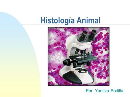 4/15/2017 Histología Animal Por: Yanitza Padilla.