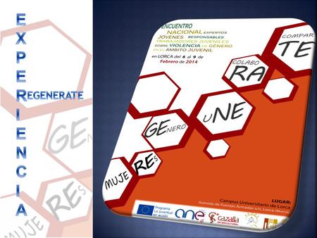  Compartir prácticas y desafíos en el trabajo con jóvenes en el campo de la prevención de la violencia de género en entornos juveniles en diferentes.