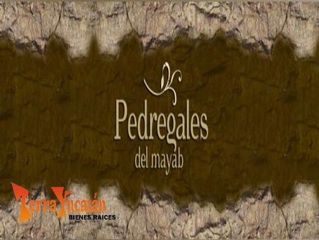 Pedregales del Mayab Ubicado al Norte del municipio de Mérida, en una zona de Alta Plusvalía, Se ha creado esta Exclusiva Comunidad para que tu construyas,