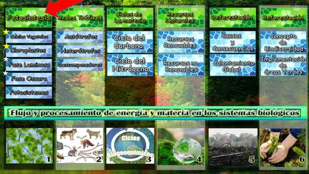 Hablamos de fotosíntesis…