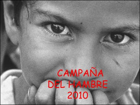 CAMPAÑA DEL HAMBRE 2010.