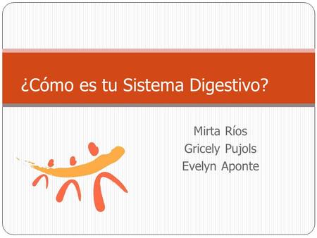 ¿Cómo es tu Sistema Digestivo?