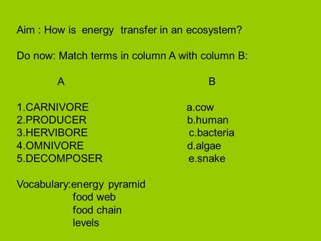 Aim : How is energy transfer in an ecosystem? Do now: Match terms in column A with column B: A B 1.CARNIVORE a.cow 2.PRODUCER b.human 3.HERVIBORE c.bacteria.