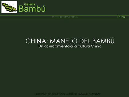 Bambú Galería Nº 108. MONTAJE NO COMERCIAL ALFREDO JARAMILLO BERNAL en busca del espíritu del bambú __________________________________________________________________________.