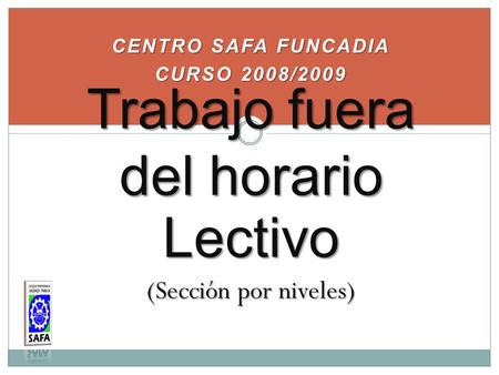 CENTRO SAFA FUNCADIA CURSO 2008/2009 Trabajo fuera del horario Lectivo (Sección por niveles)