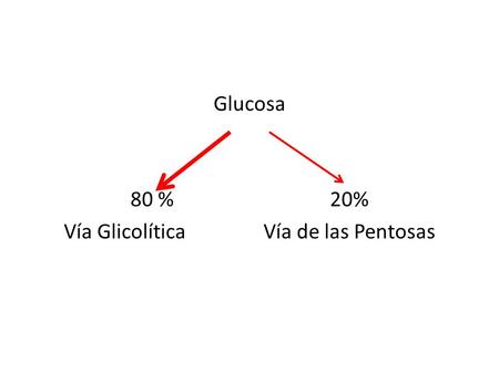 Glucosa 80 % 20% Vía Glicolítica Vía de las Pentosas