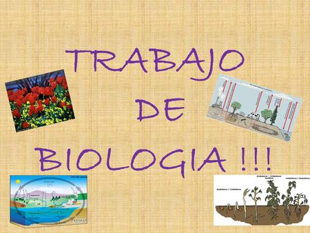 TRABAJO DE BIOLOGIA !!!.