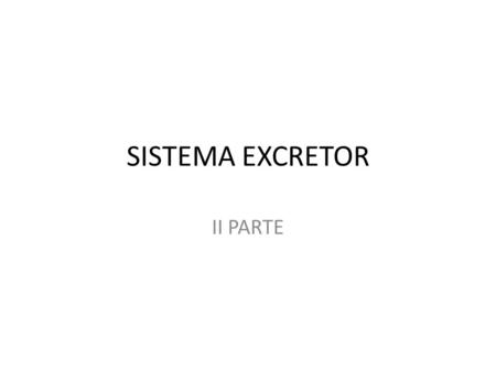 SISTEMA EXCRETOR II PARTE.
