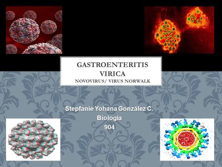 GASTROENTERITIS VIRICA NOVOVIRUS/ VIRUS NORWALK