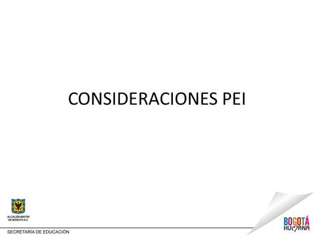 CONSIDERACIONES PEI.