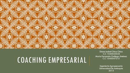 COACHING EMPRESARIAL Diana Isabel Chica Chica C.C