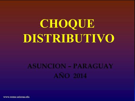 CHOQUE DISTRIBUTIVO ASUNCION – PARAGUAY AÑO 2014 www.reeme.arizona.edu.