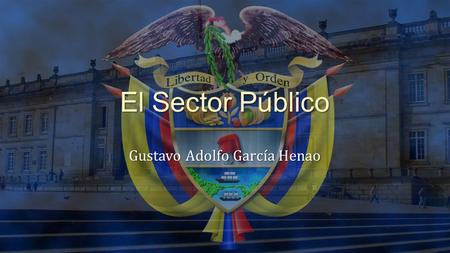 El Sector Público Gustavo Adolfo García Henao. Sectores Privado Busca atender problemas particulares de cada individuo a través del desarrollo de actividades.