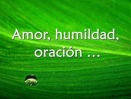 Amor, humildad, oración …