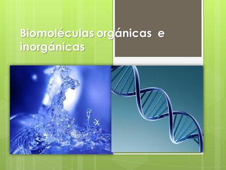Biomoléculas orgánicas e inorgánicas