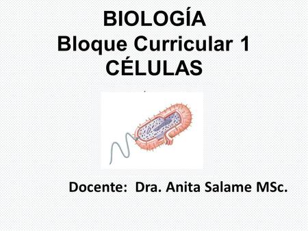 BIOLOGÍA Bloque Curricular 1 CÉLULAS Docente: Dra. Anita Salame MSc.