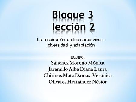 La respiración de los seres vivos : diversidad y adaptación