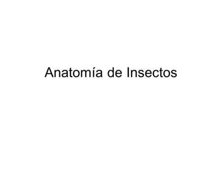 Anatomía de Insectos.