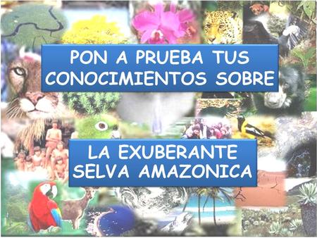 PON A PRUEBA TUS CONOCIMIENTOS SOBRE