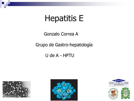Hepatitis E Gonzalo Correa A Grupo de Gastro-hepatología U de A - HPTU.