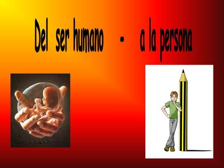 Medio -Mundo ¿Quienes o que construye el mundo? ¿Como se construye el mundo?