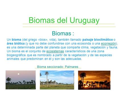 Biomas del Uruguay Biomas :