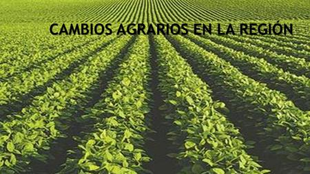 CAMBIOS AGRARIOS EN LA REGIÓN