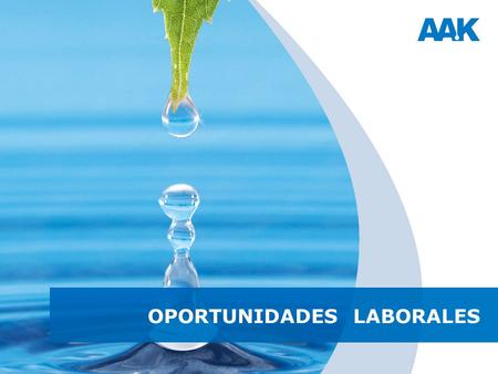 OPORTUNIDADES LABORALES