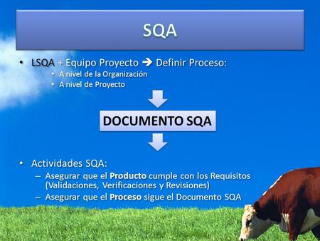LSQA + Equipo Proyecto  Definir Proceso: A nivel de la Organización A nivel de Proyecto Actividades SQA: – Asegurar que el Producto cumple con los Requisitos.