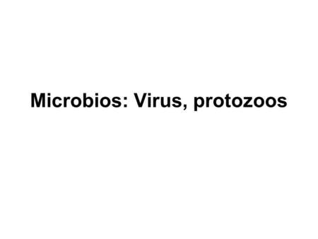 Microbios: Virus, protozoos