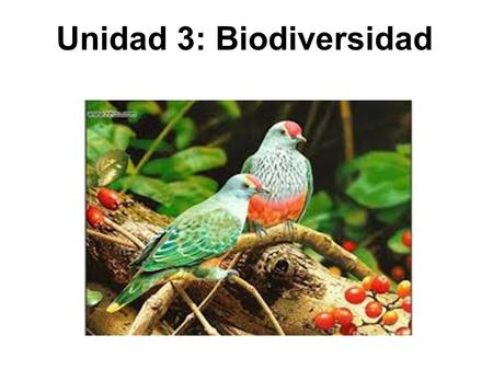 Unidad 3: Biodiversidad