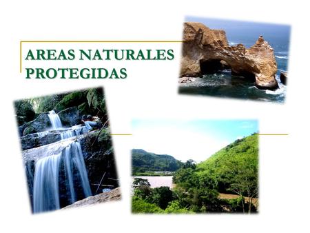 AREAS NATURALES PROTEGIDAS