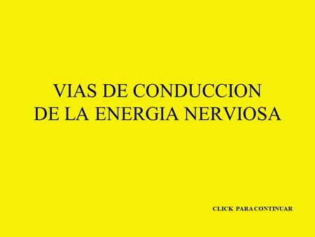 VIAS DE CONDUCCION DE LA ENERGIA NERVIOSA