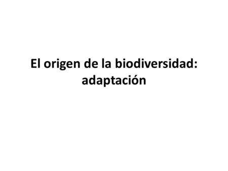 El origen de la biodiversidad: adaptación